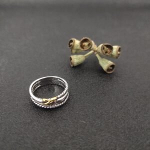 ring DYJZ-007