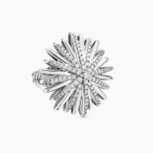ring DYJZ-099