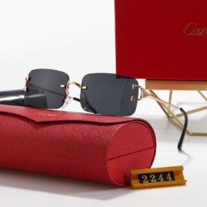 sunglasses 2244