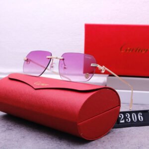 sunglasses 2306
