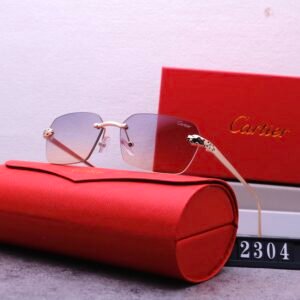 sunglasses 2304