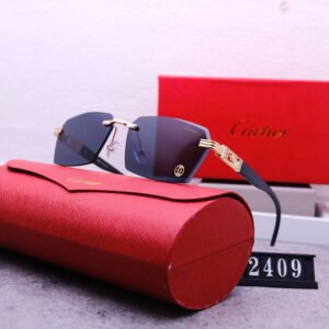 sunglasses 2409
