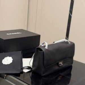 CC Bags 2026 CF Maxi