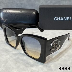 sunglasses  3888