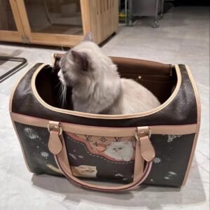 LuLu Pet travel bag
